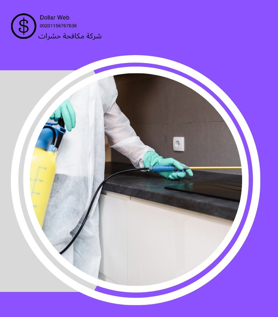 رش حشرات فى الشارقة
