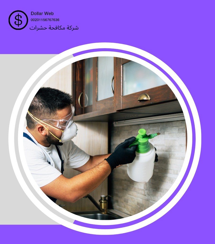 مكافحة حشرات خورفكان بالامارات