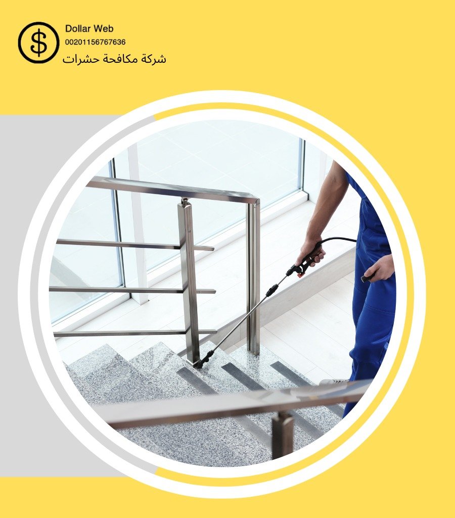 شركة ابادة حشرات بالعين