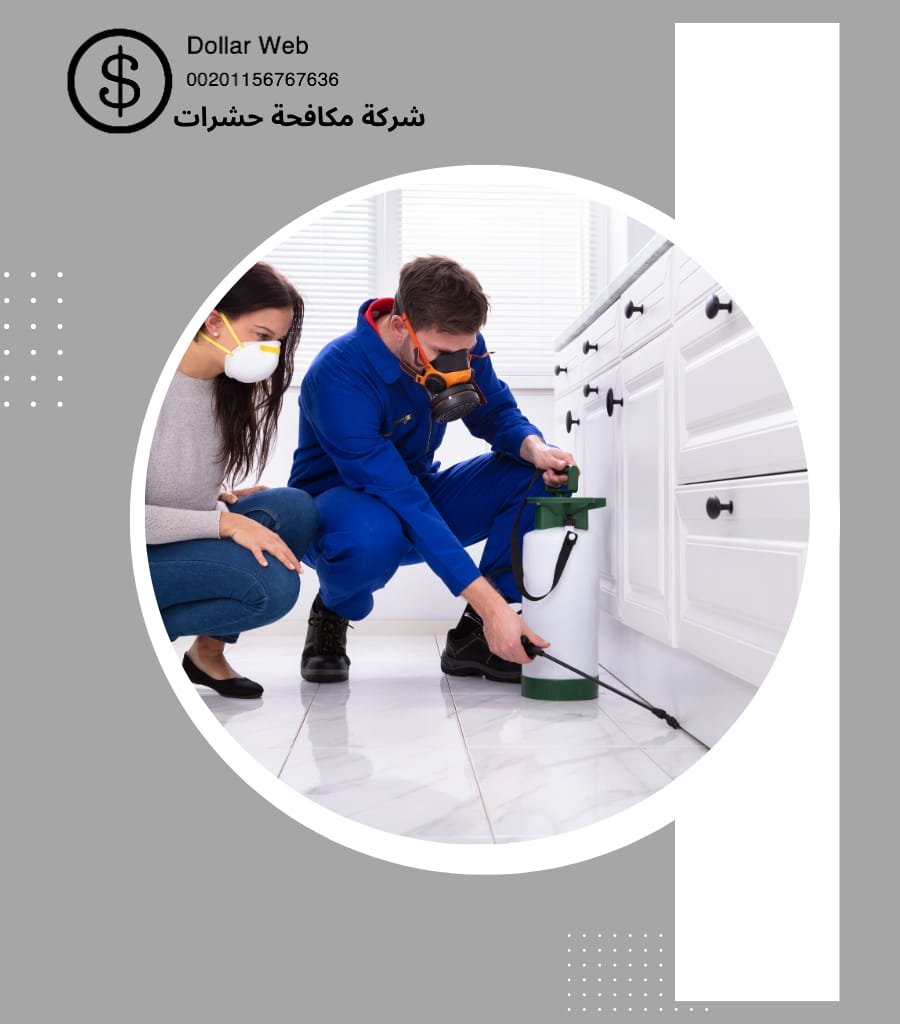 رش حشرات فى دبي