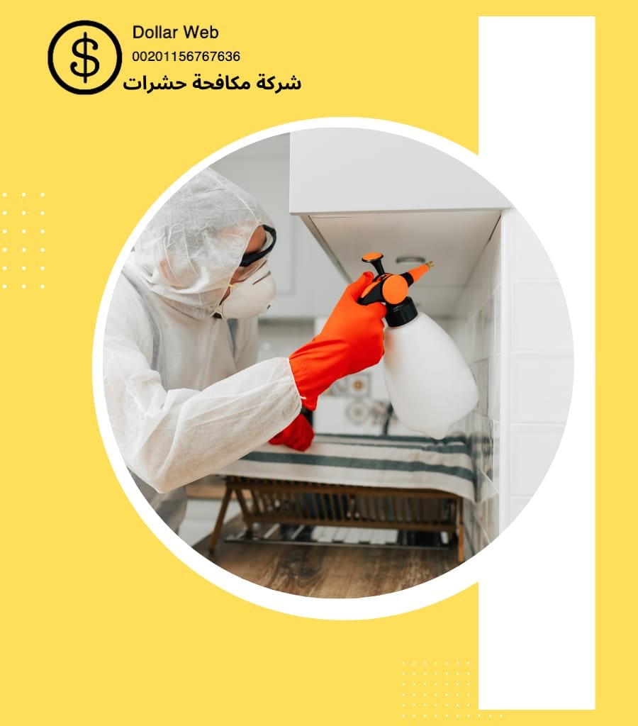 رش حشرات فى ام القيوين