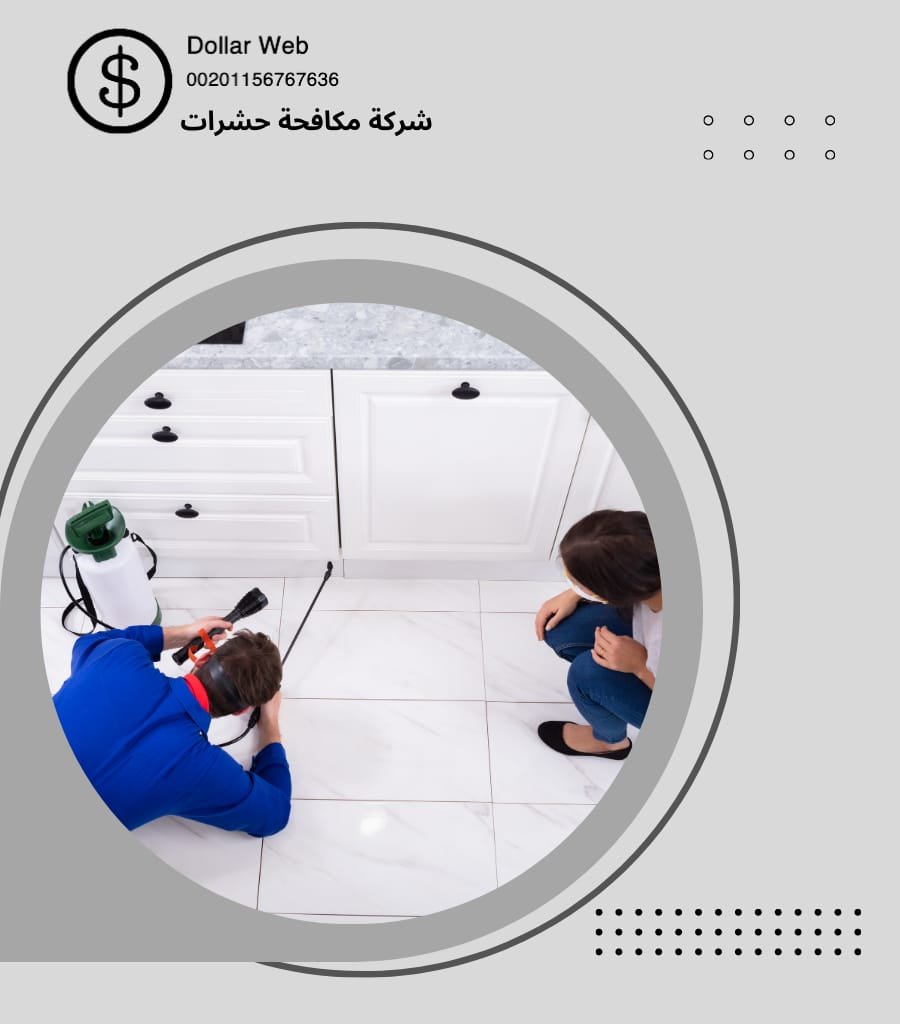 رش حشرات في ابو ظبي