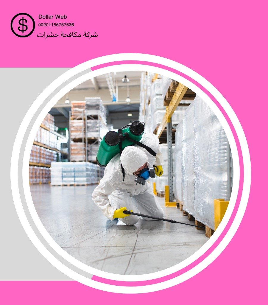شركة مكافحة حشرات العين