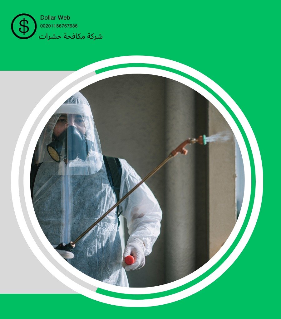 شركة مكافحة حشرات عجمان