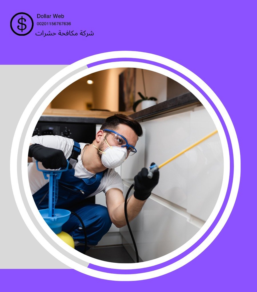 أفضل مكافحة حشرات العين